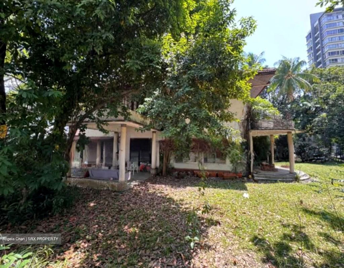 Tanjong Rhu Road (D15),  #538596921